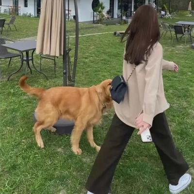 半山押运·终章海报